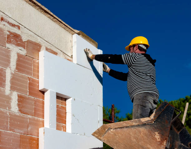 Best Insulation Replacement Services  in Waseca, MN